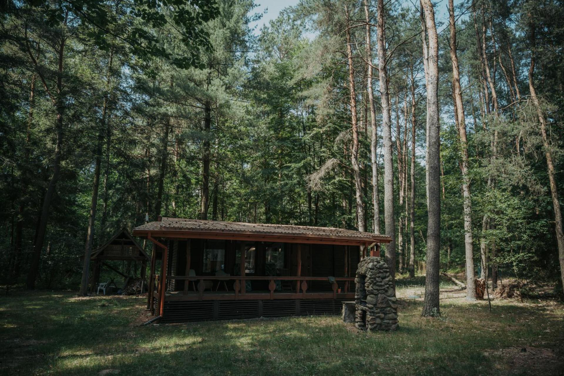 Forest Cabin - 50Min Od Warszawy Wola Polska Exterior photo